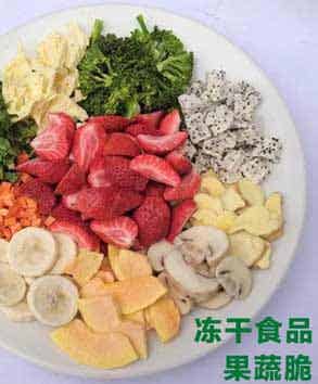 200平方凍干果蔬深加工成套設(shè)備報價方案
