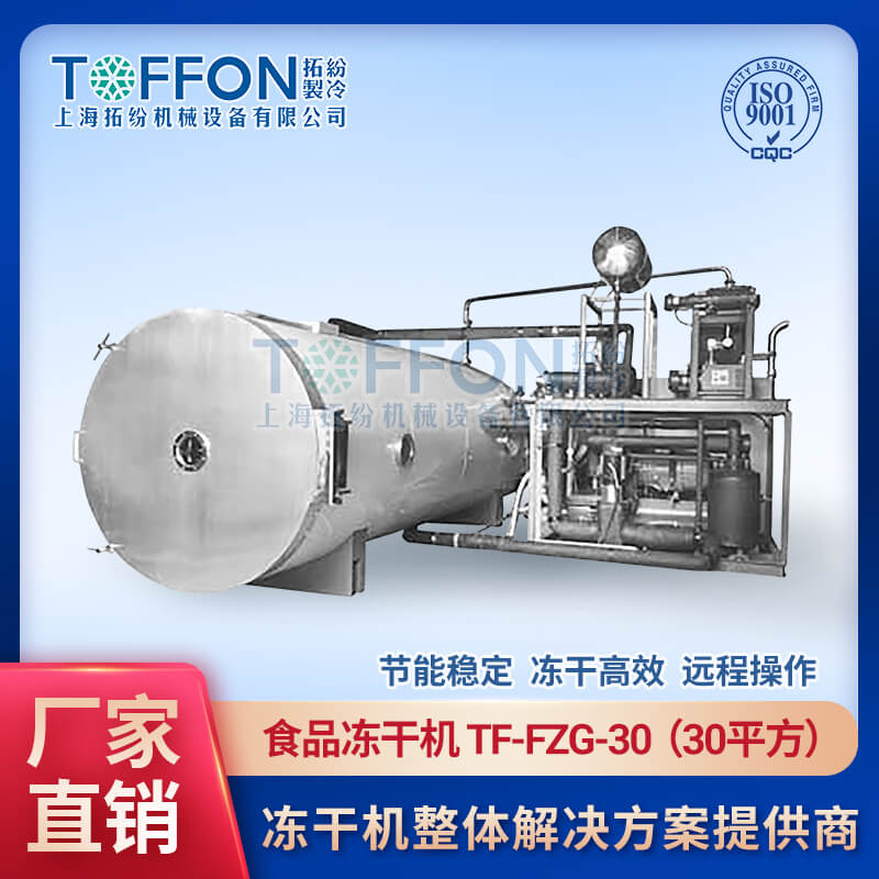 蜂王漿冷凍干燥機(jī) 凍干食品設(shè)備TF-FZG-30