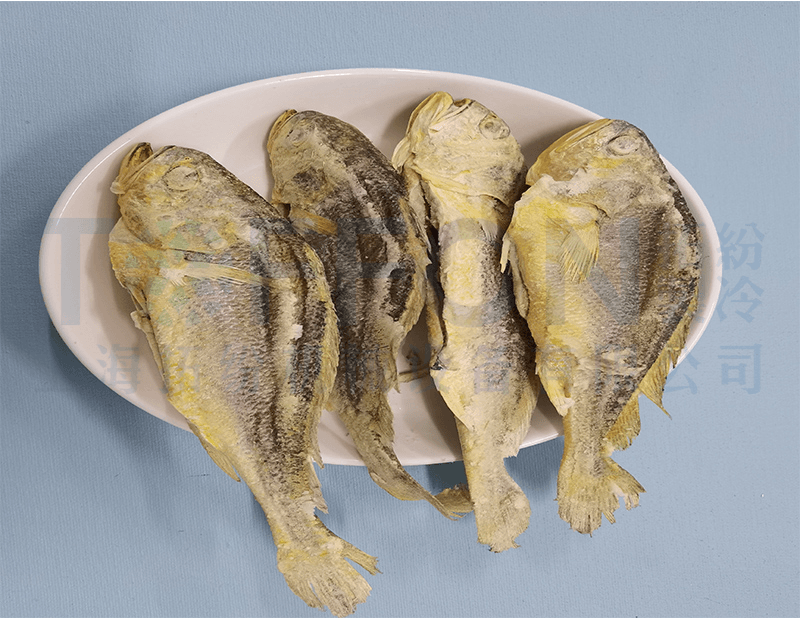 黃花魚凍干，食品凍干機(jī)應(yīng)用于黃花魚真空冷凍干燥