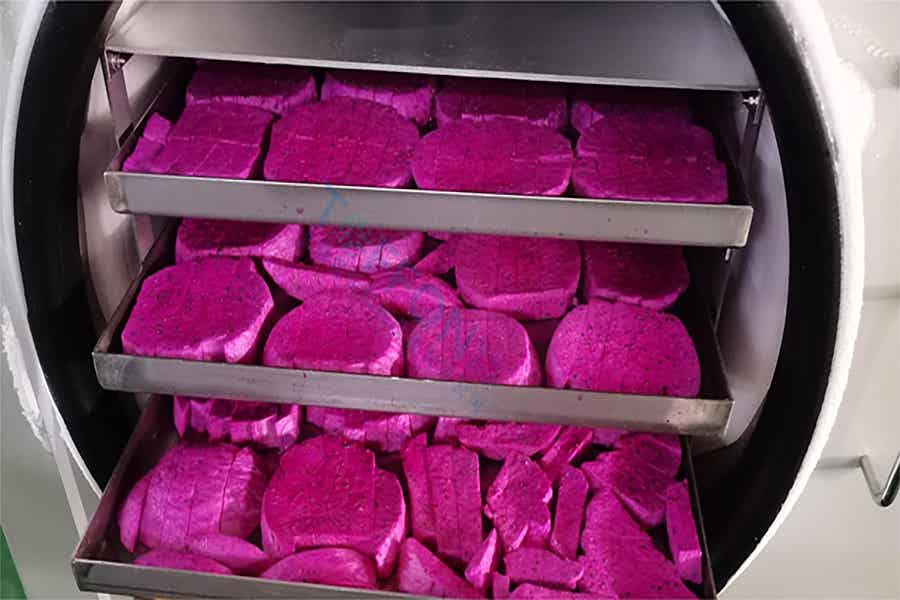 火龍果凍干機(jī)：果蔬冷凍干燥機(jī)凍干加工流程