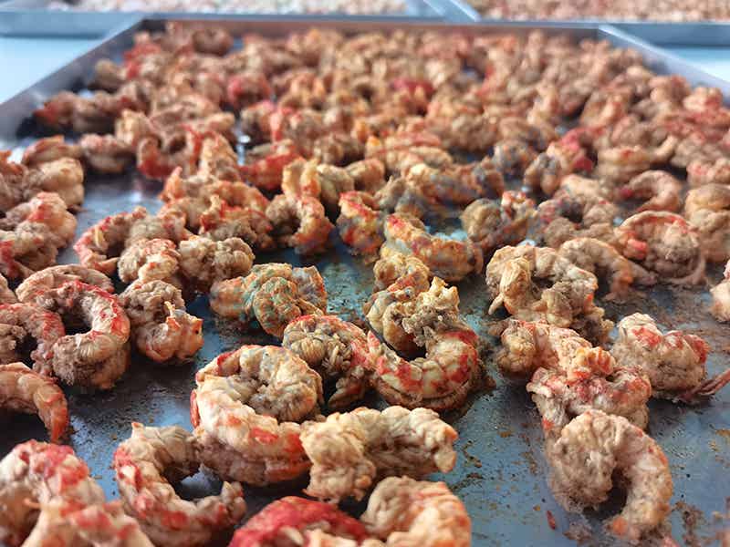 龍蝦凍干：食品凍干機(jī)應(yīng)用在海鮮冷凍干燥加工使用
