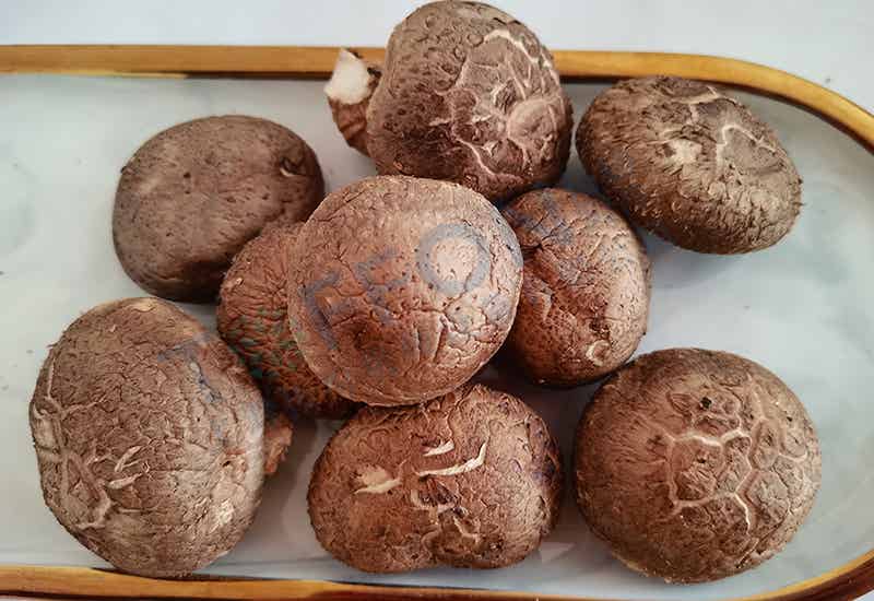 香菇凍干：食用菌凍干技術(shù)介紹及應(yīng)用