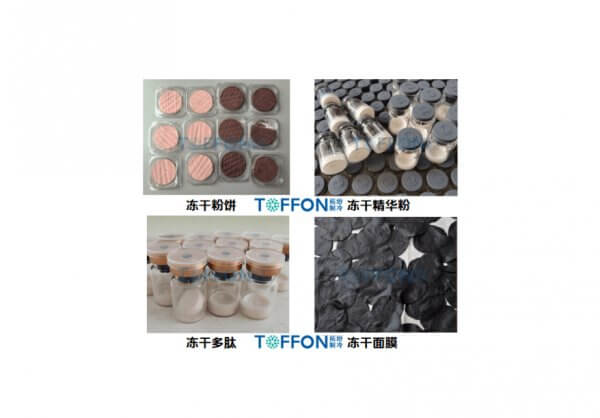 化妝品冷凍干燥機生產線解決方案